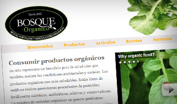 solisystems.com
